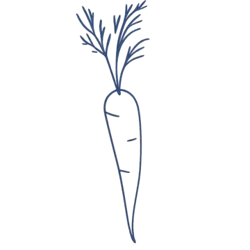 Navy line drawing of a carrot with its leafy top